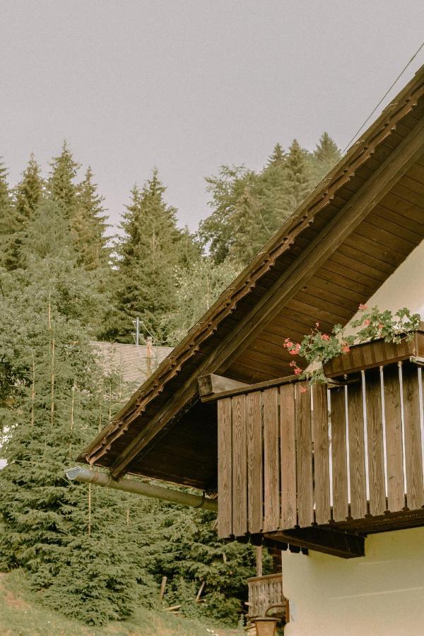 Вілла Almhaus Kochjosel Garanas Екстер'єр фото